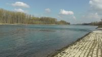 Rhein km369_1